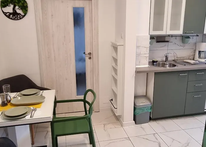 Elisabeta Studio Apartment
